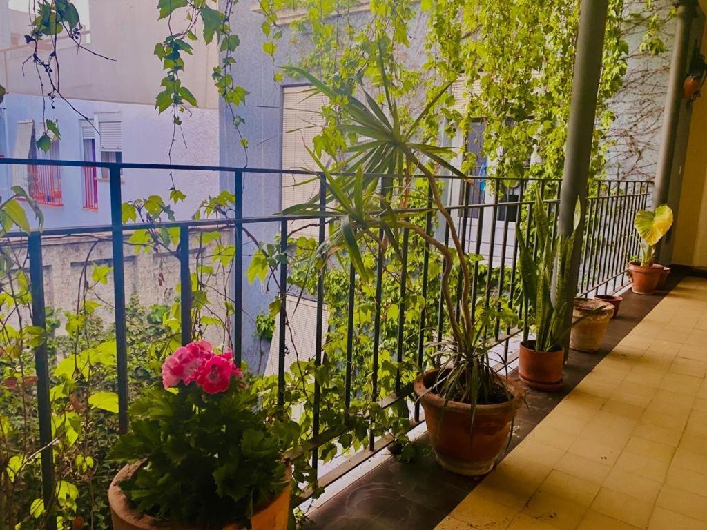 Innsevillaluxury Apartment Pilatos Ngoại thất bức ảnh